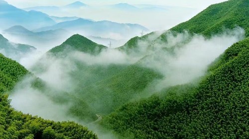 国务院办公厅印发《关于鼓励和支持社会资本参与生态保护修复的意见